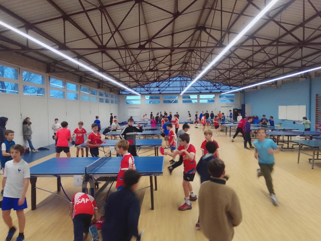 Championnats de district de tennis de table : Un sans-faute pour nos collégiens 2024 1